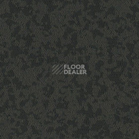 Линолеум Gerflor Taralay Premium Osmoz 7737 Pepper Grey фото 1 | FLOORDEALER